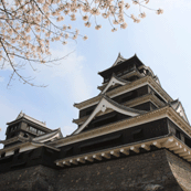 熊本城